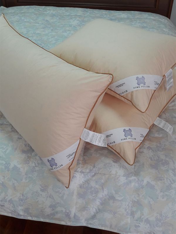 American Size Pillows & Pillow Protectors